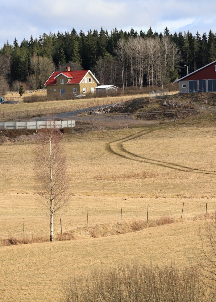 The Art of Drawing Readers In: Your attractive post title goes here Idyllic rural scene with farmhouses, fields, and autumn trees under a clear sky.